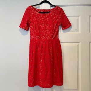 Enfocus Studio Red Floral Lace Dress